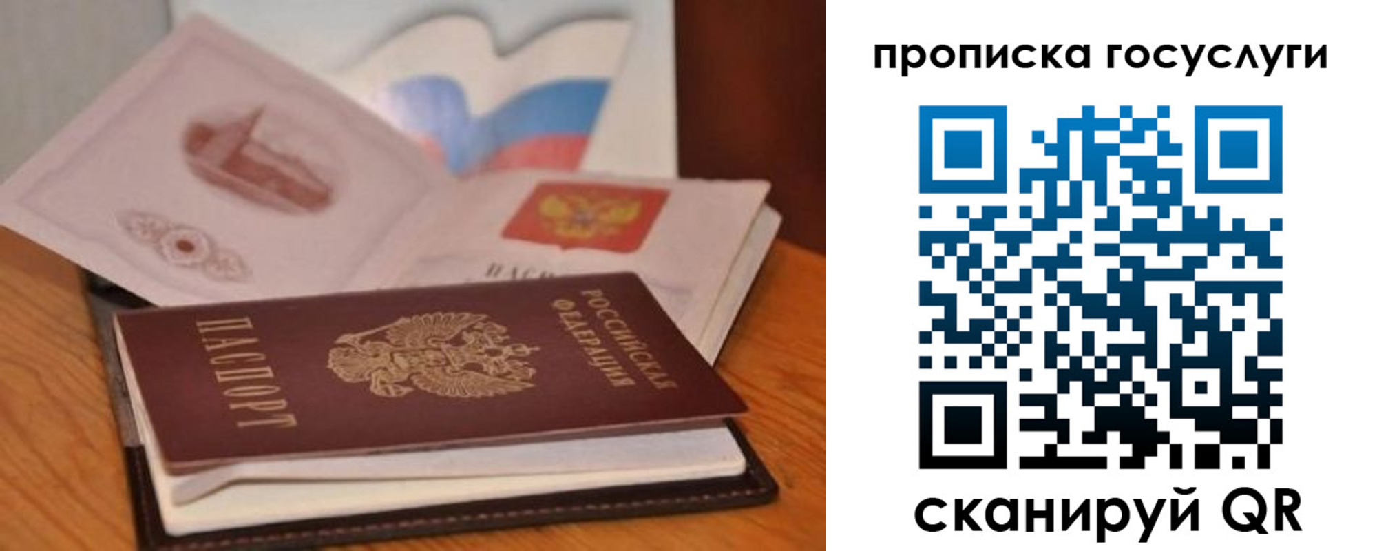 прописка в квартире в Коле